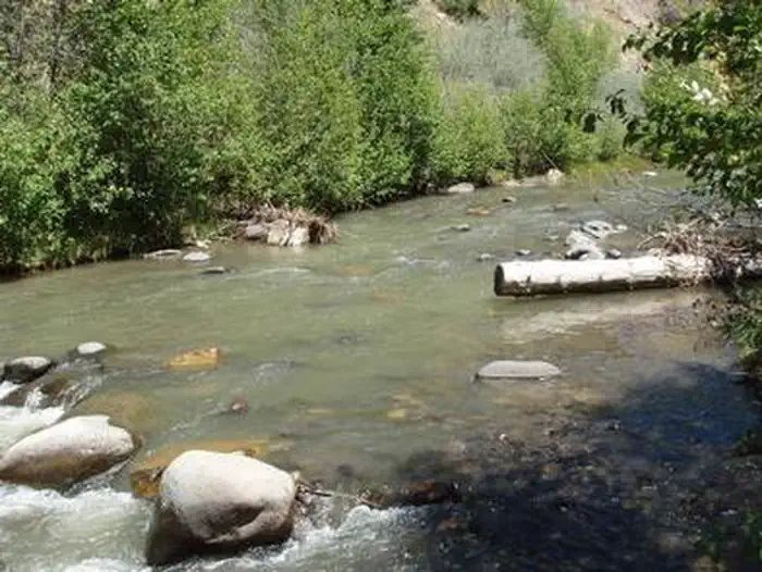 BLANCO RIVER GROUP CAMPGROUND photo