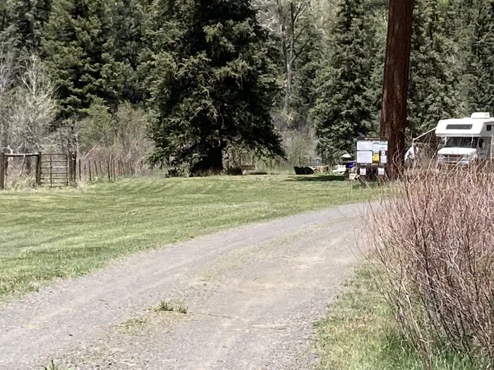 BLANCO RIVER GROUP CAMPGROUND photo 2