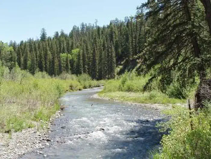 BLANCO RIVER GROUP CAMPGROUND photo 3