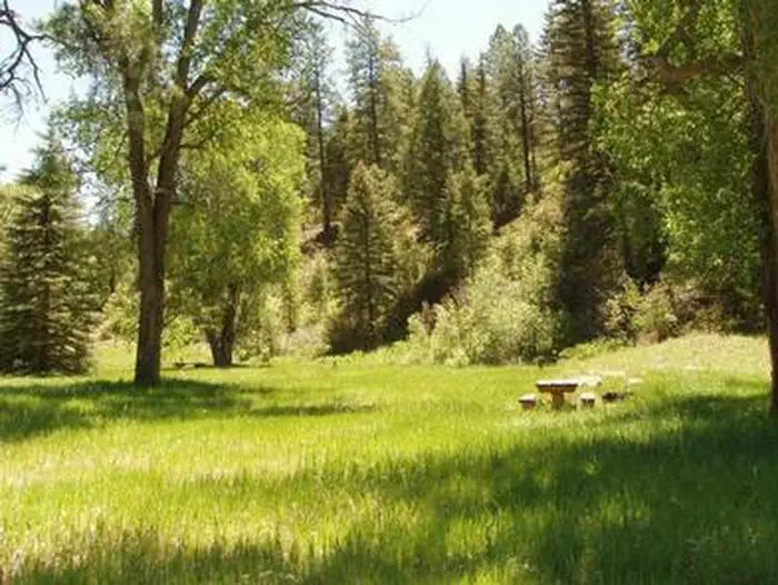 BLANCO RIVER GROUP CAMPGROUND photo 4