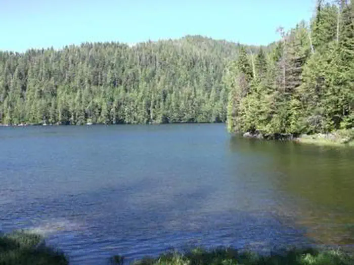 BLIND PASS CABIN photo 4