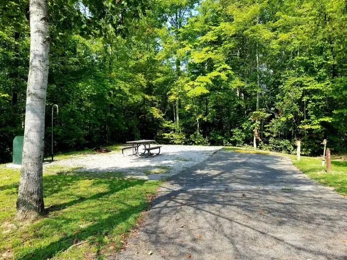 BLUE HERON CAMPGROUND photo 3