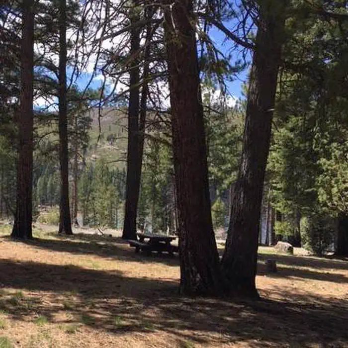 Blue Lake Campground Group Site - Modoc NF (CA) photo 2