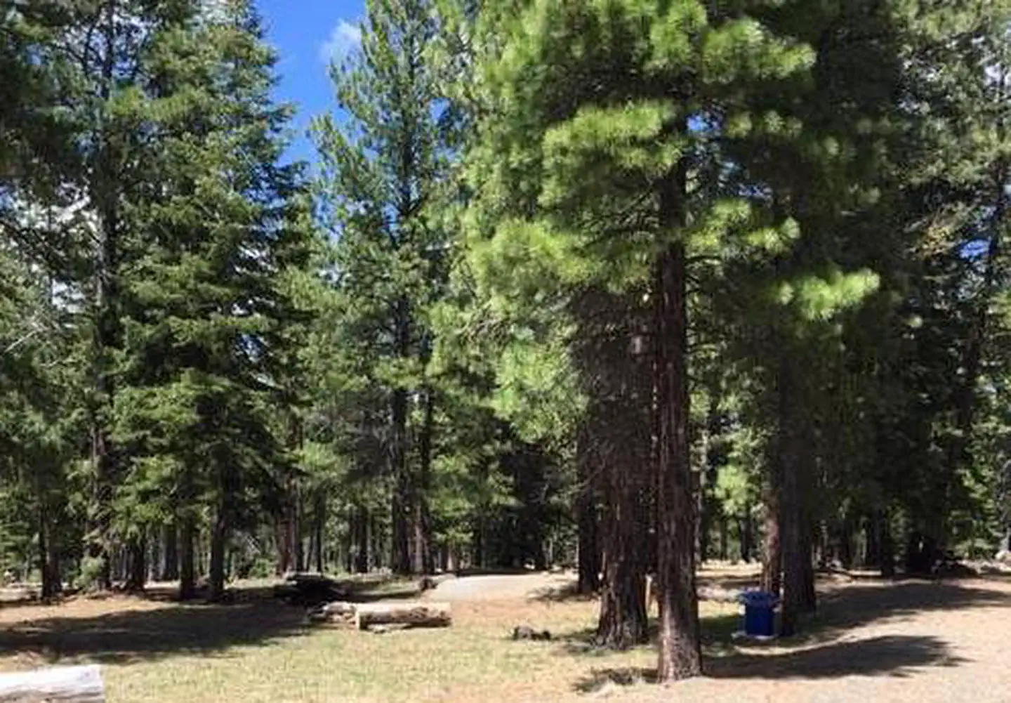 Blue Lake Campground Group Site - Modoc NF (CA) photo 3
