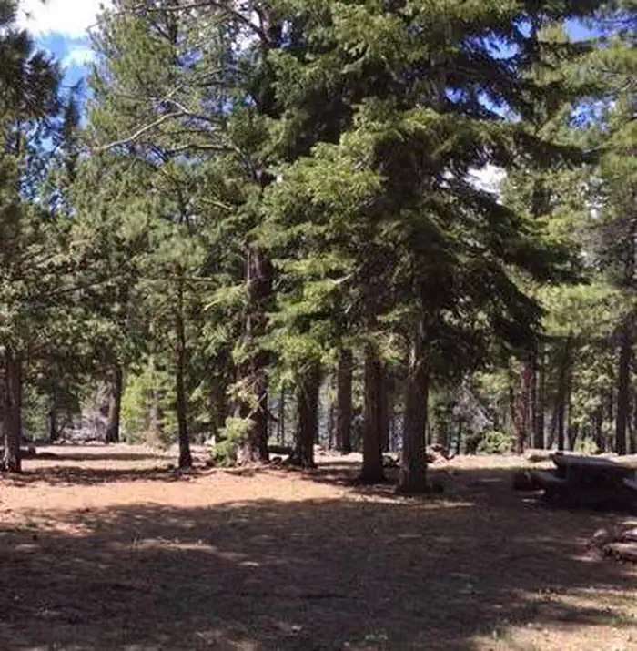 Blue Lake Campground Group Site - Modoc NF (CA) photo 4