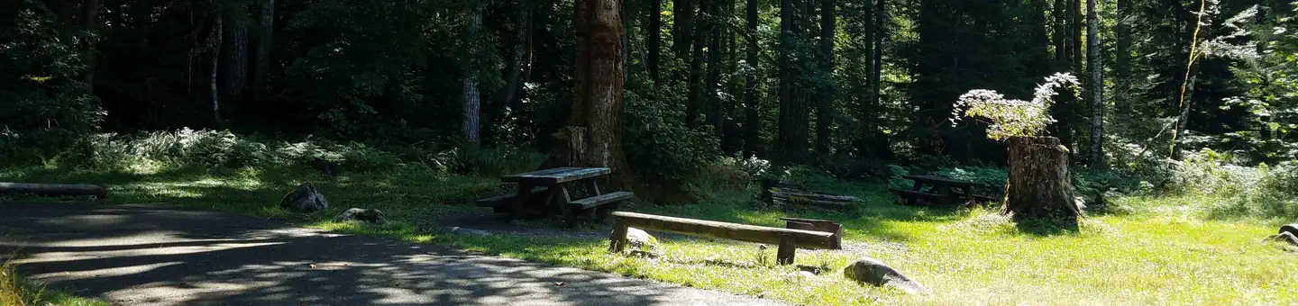 Blue Lake Creek Campground - Gifford Pinchot NF (WA) photo