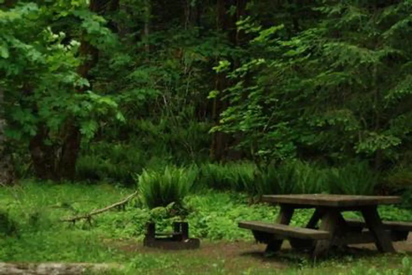 Blue Lake Creek Campground - Gifford Pinchot NF (WA) photo 3