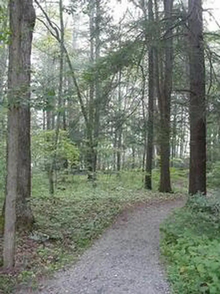 BLUE MEADOW photo 4