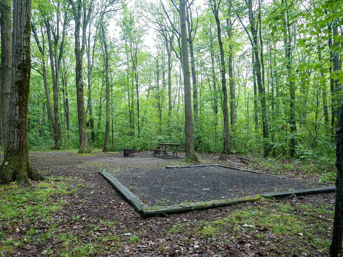 Blueberry Patch Campground photo 3