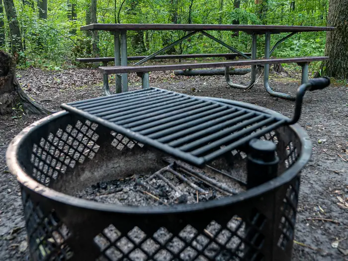 Blueberry Patch Campground photo 4