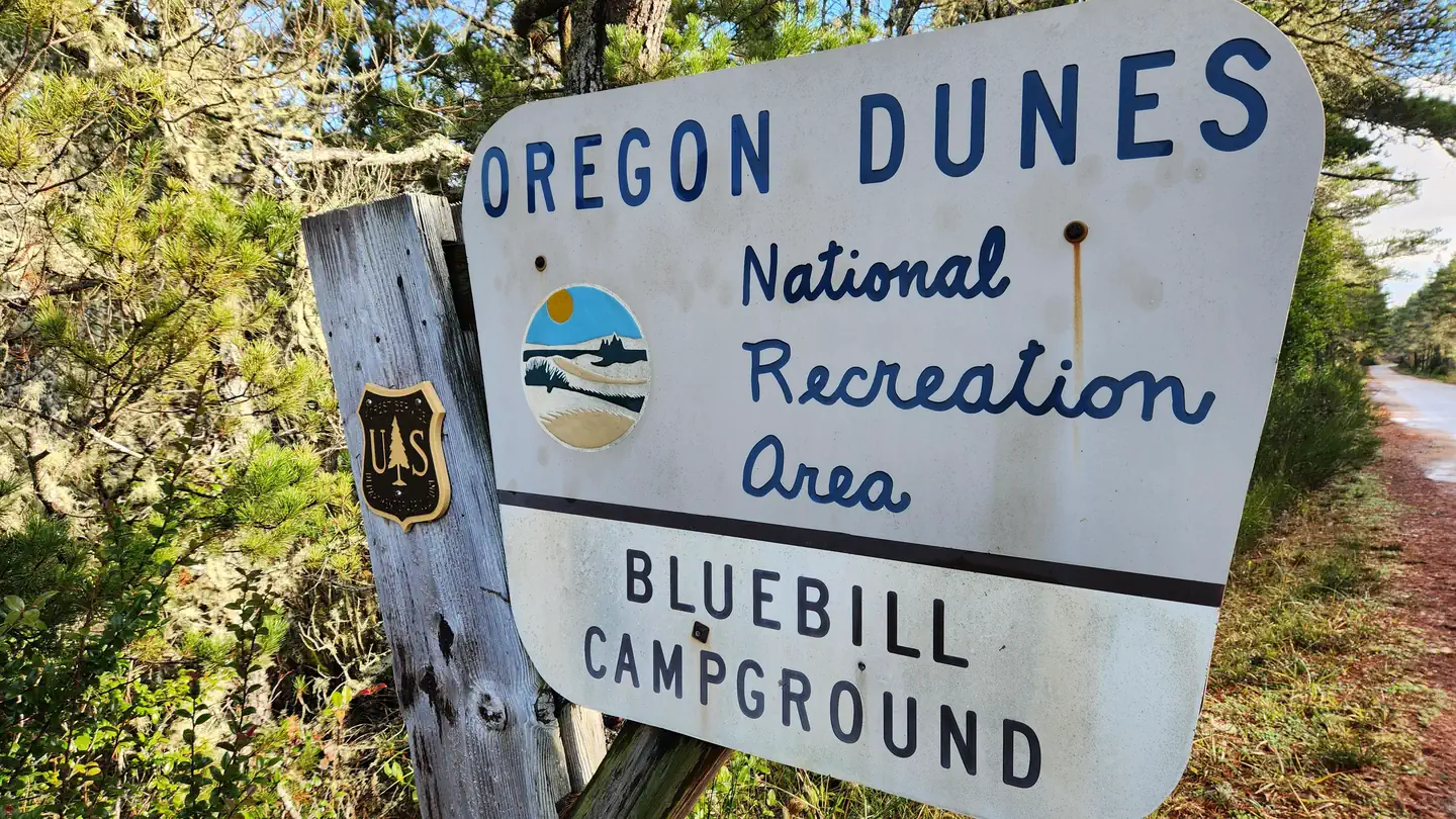 BLUEBILL CAMPGROUND photo