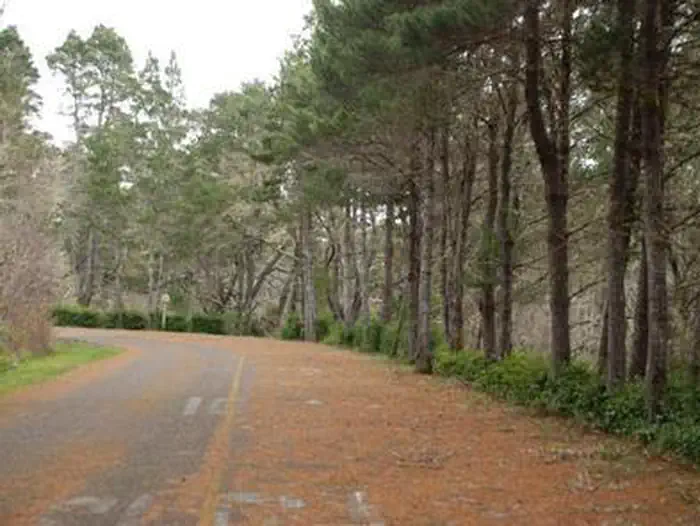 BLUEBILL CAMPGROUND photo 2