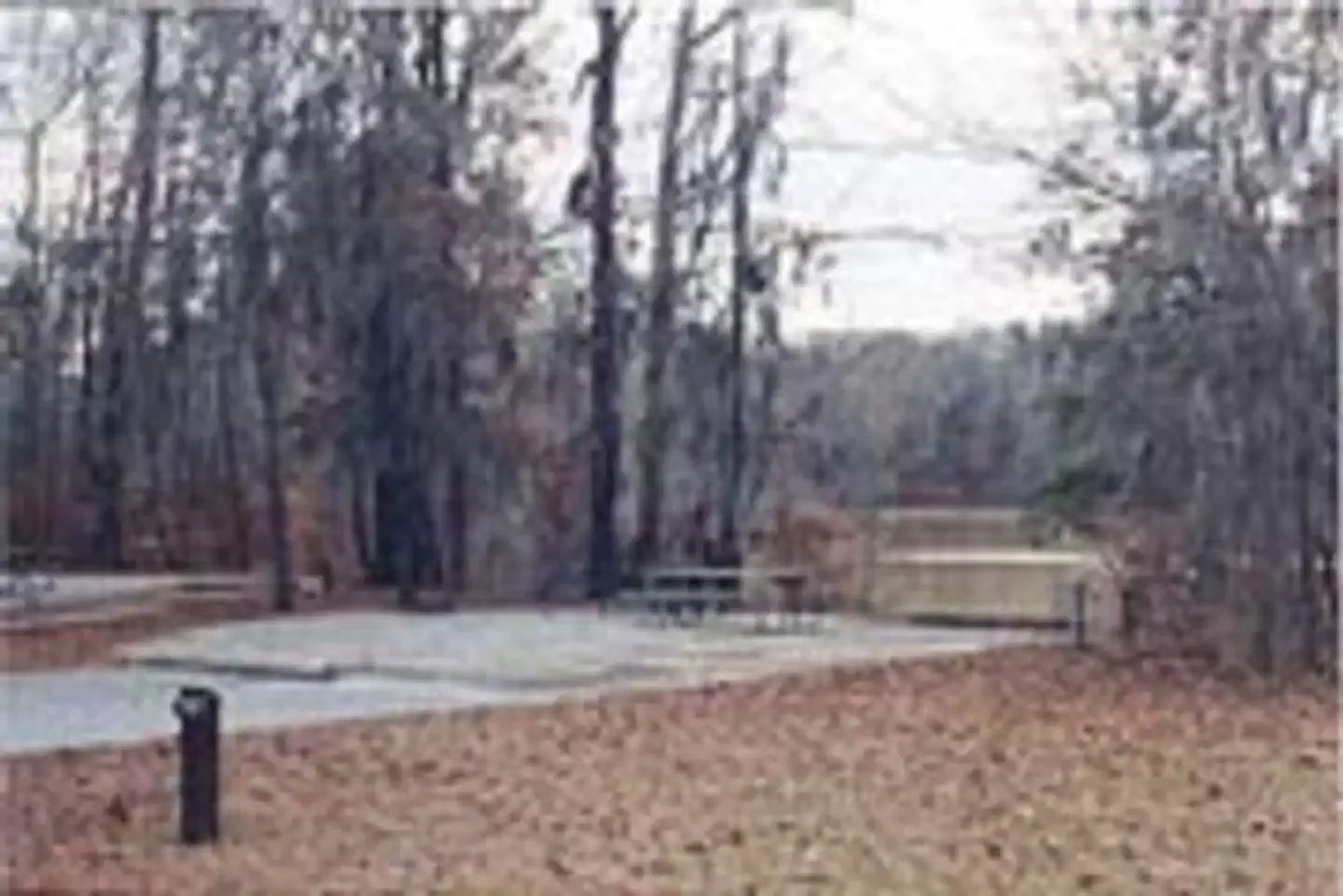 BLUFF CREEK photo 3