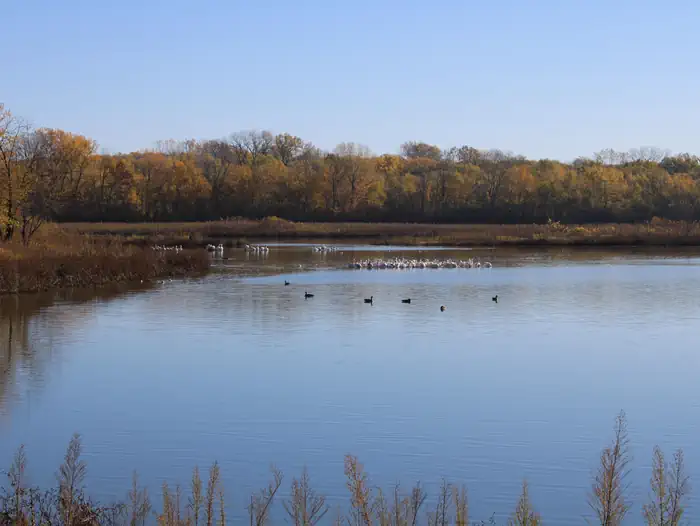 BOB SHETLER RECREATION AREA photo 2