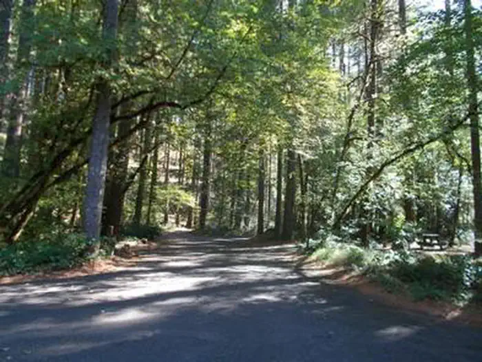 BOGUS CREEK CAMPGROUND photo 3