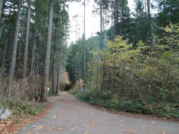 BOGUS CREEK CAMPGROUND photo 4