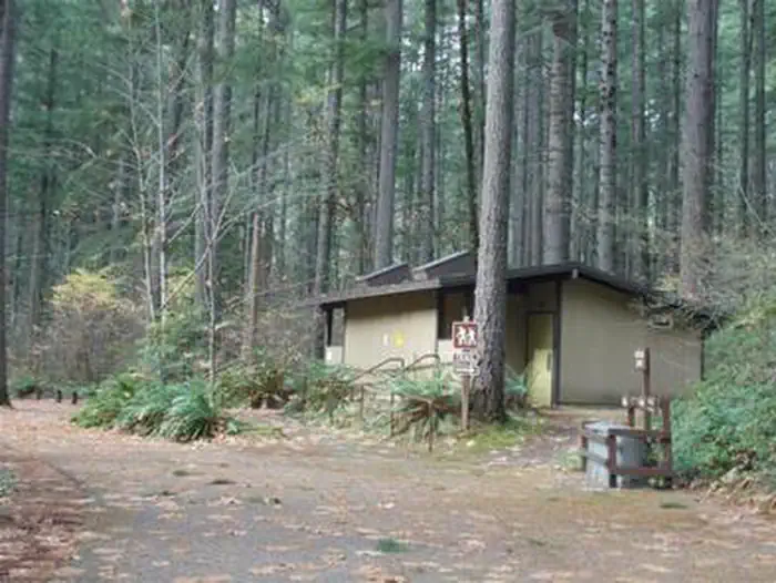 BOGUS CREEK CAMPGROUND photo 5