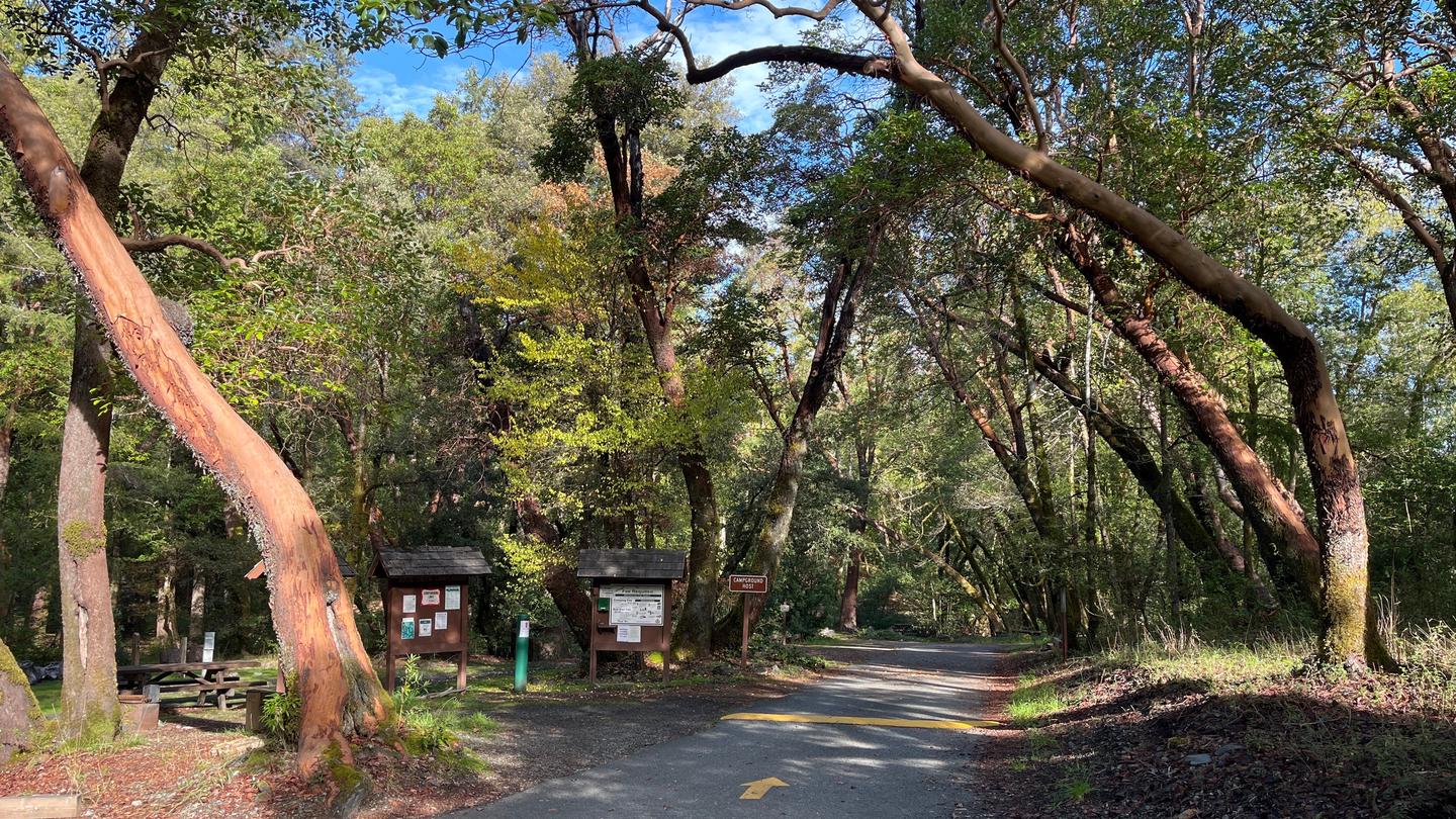 BOISE CREEK photo