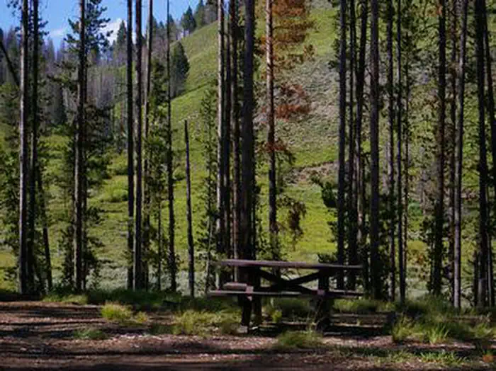 BONANZA CCC GROUP CAMPGROUND photo