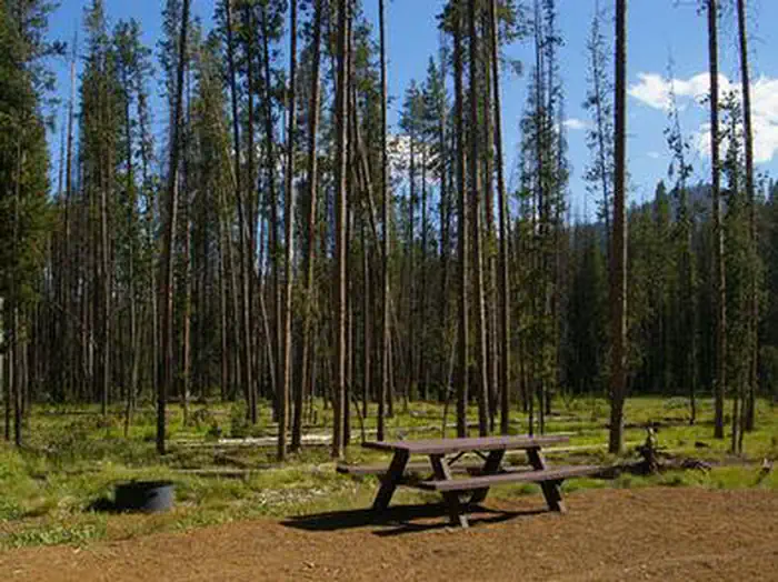 BONANZA CCC GROUP CAMPGROUND photo 4