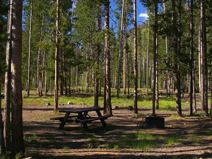 BONANZA CCC GROUP CAMPGROUND photo 5