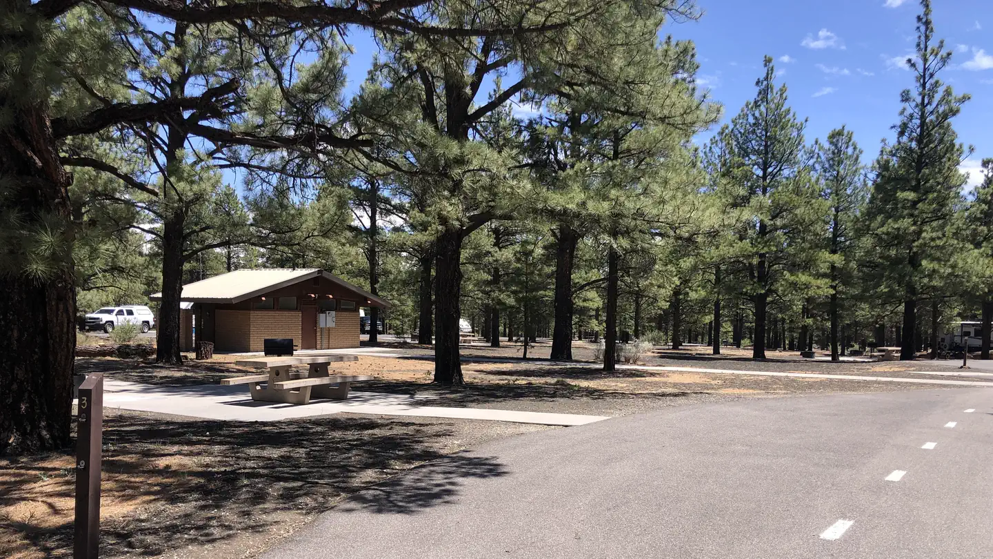 Bonito Campground (AZ) photo