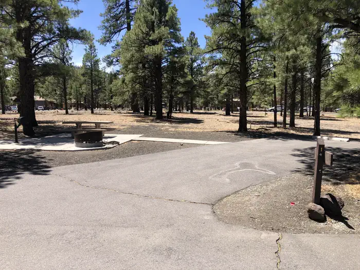 Bonito Campground (AZ) photo 2