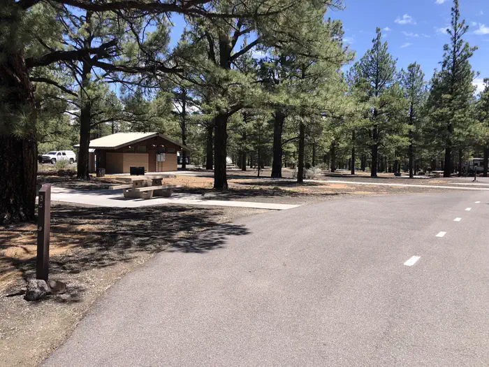 Bonito Campground (AZ) photo 3