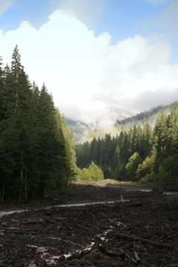 Boulder Creek Campground photo 2
