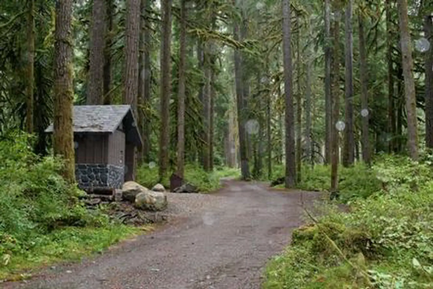 Boulder Creek Campground photo 3