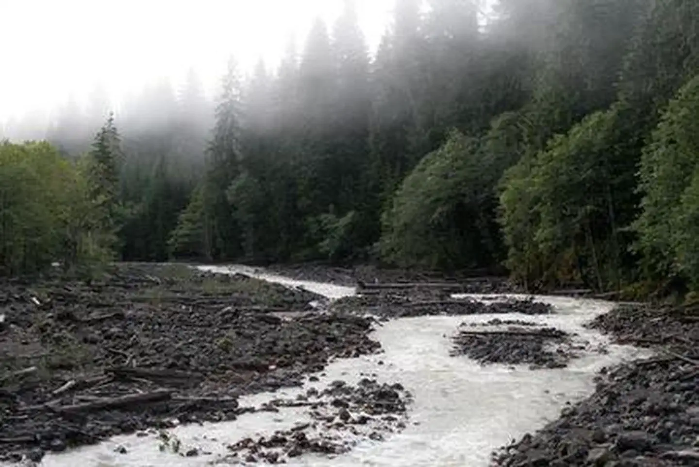 Boulder Creek Campground photo 4