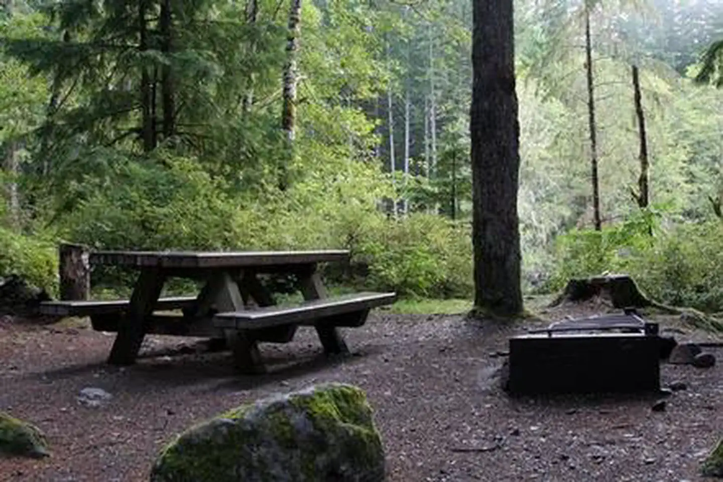 Boulder Creek Campground photo 5