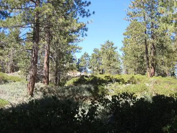 BOULDER GROUP CAMP photo 5