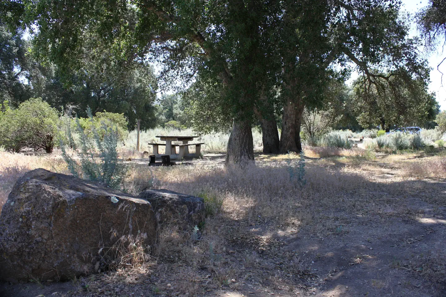 BOULDER OAKS EQST photo 2