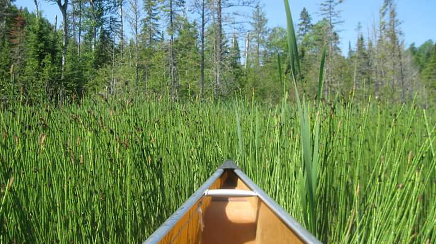 Boundary Waters Canoe Area Wilderness (Reservations) photo 3