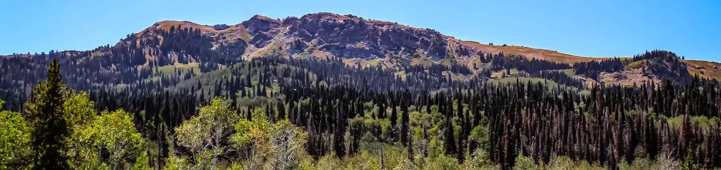 BOUNTIFUL PEAK CAMPGROUND photo