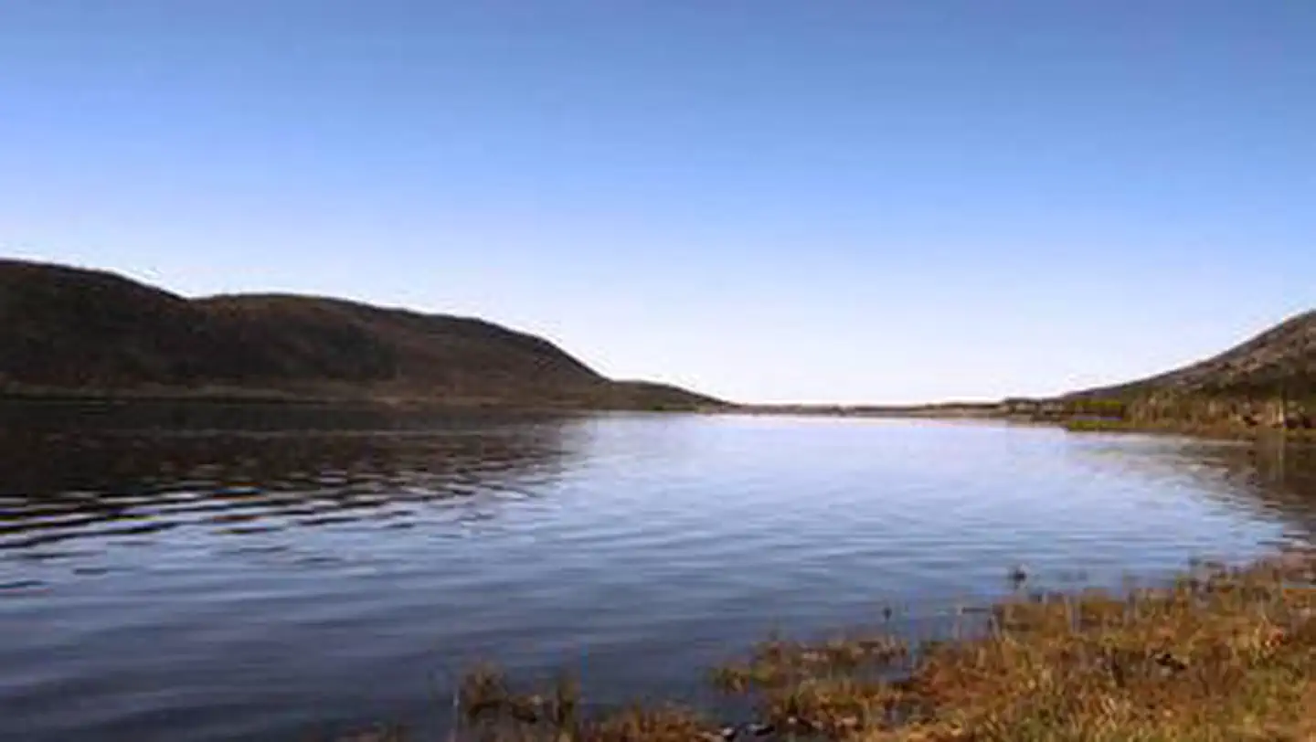 BOWERY CREEK photo