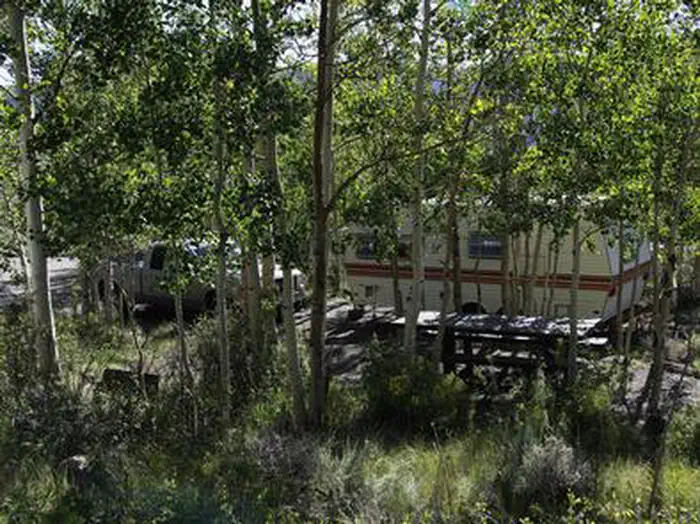 BOWERY CREEK photo 4