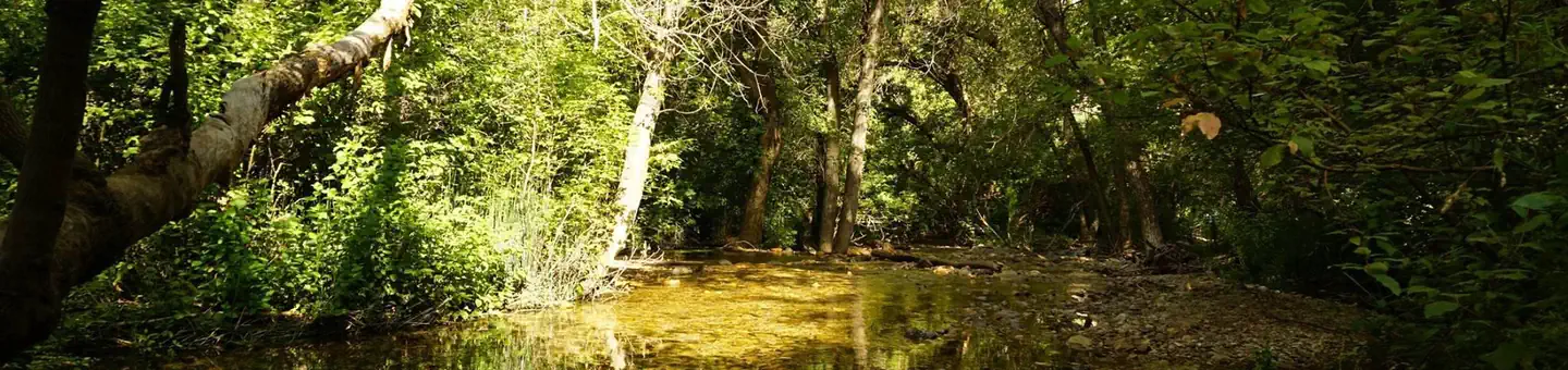 BOX ELDER CAMPGROUND photo
