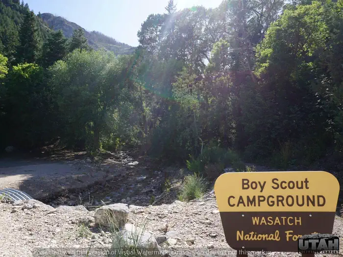 BOY SCOUT photo 2