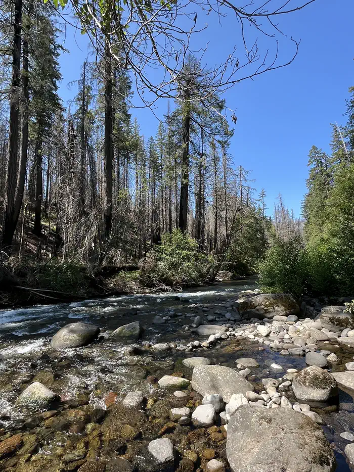 BREITENBUSH CAMPGROUND photo