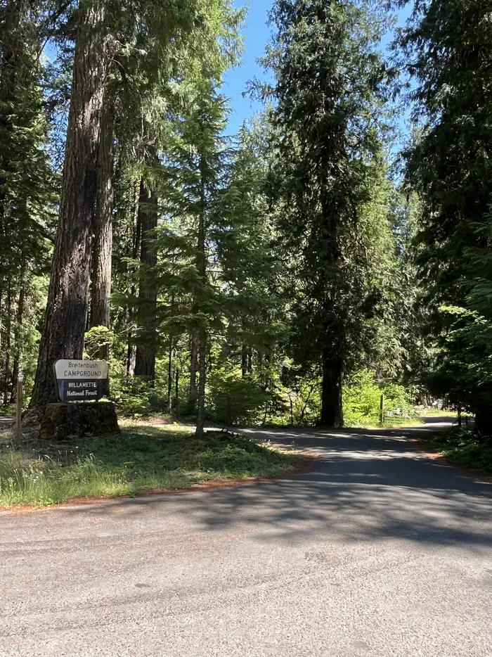 BREITENBUSH CAMPGROUND photo 2