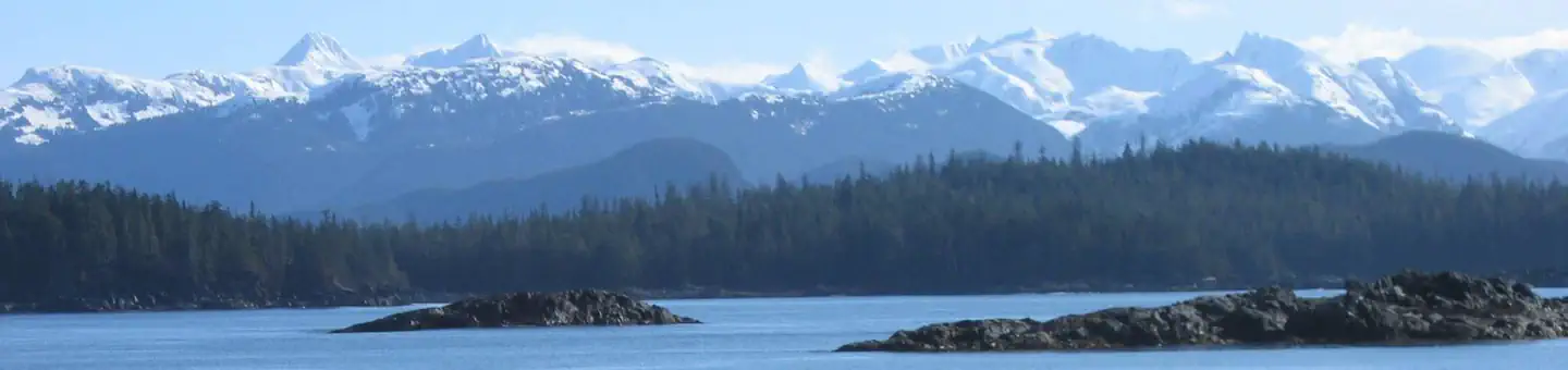 BRENTS BEACH CABIN photo
