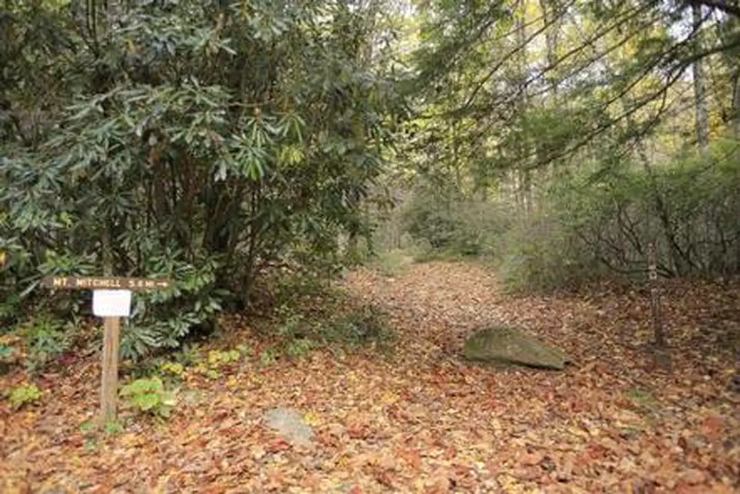 BRIAR BOTTOM GROUP CAMPGROUND photo 4