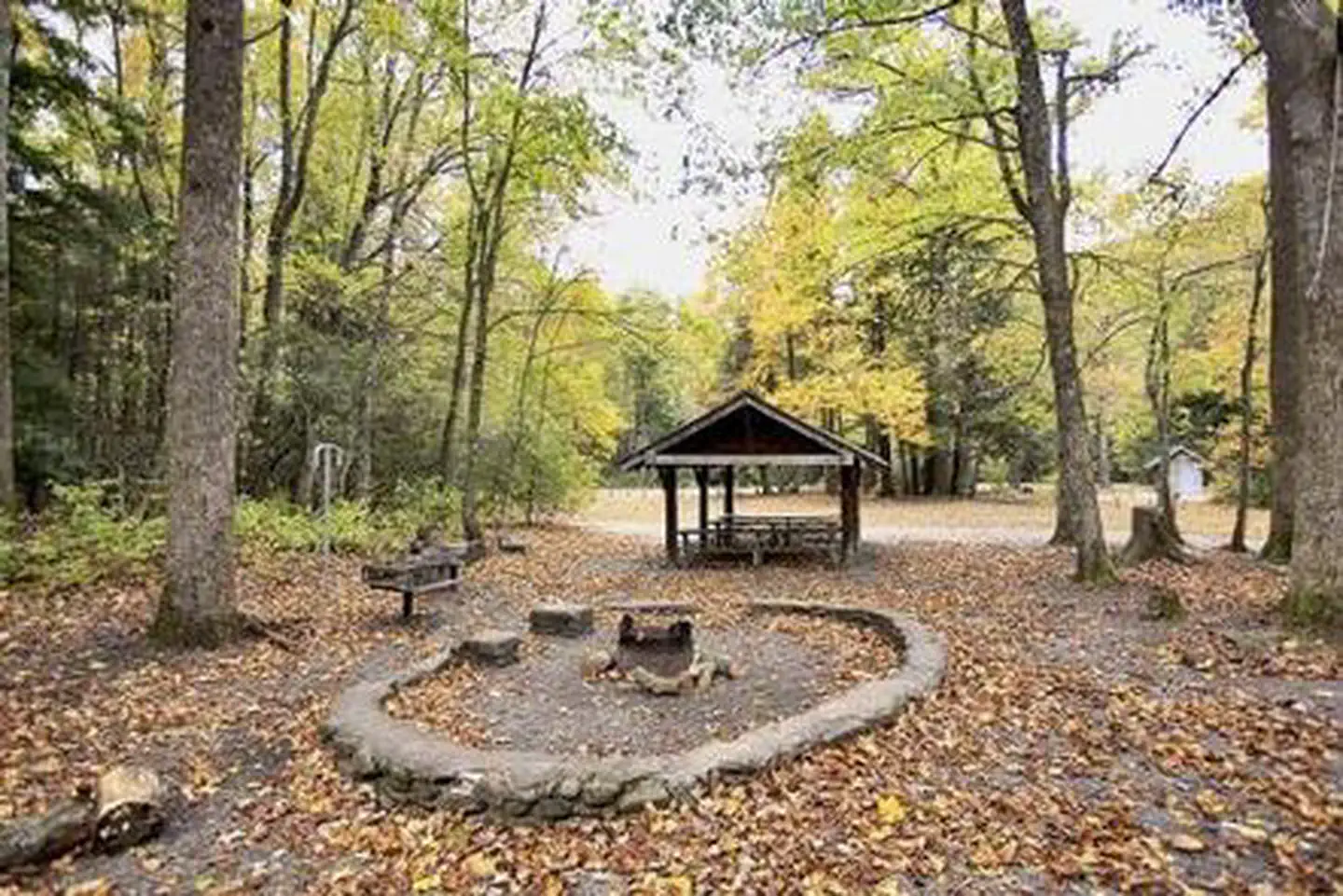 BRIAR BOTTOM GROUP CAMPGROUND photo 5