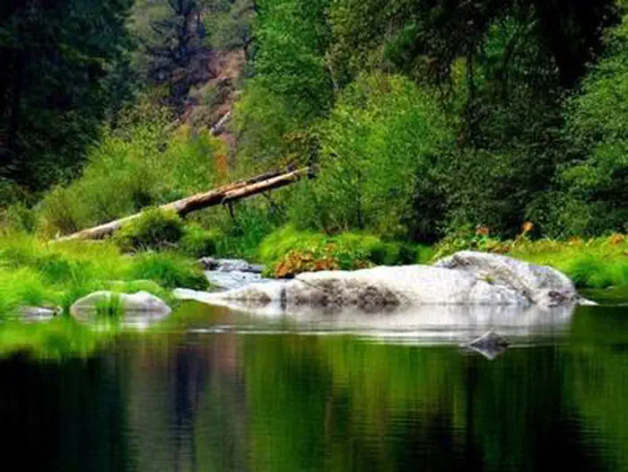 BRIDAL VEIL GROUP AREA AND PICNIC GROUND photo