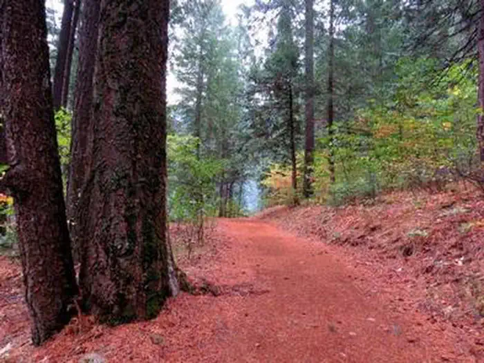 BRIDAL VEIL GROUP AREA AND PICNIC GROUND photo 3