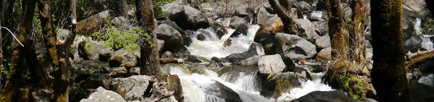 Bridalveil Creek Campground photo