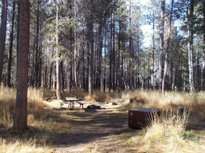 Bridalveil Creek Campground photo 3