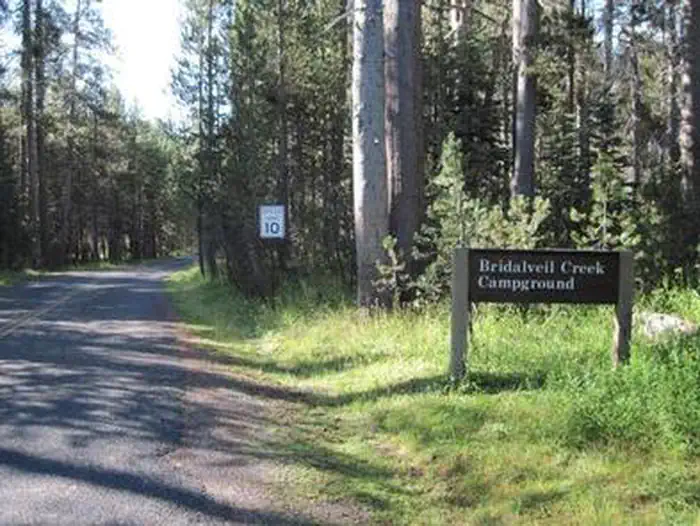 Bridalveil Creek Campground photo 4